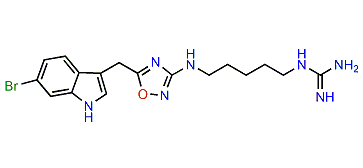 Phidianidine A